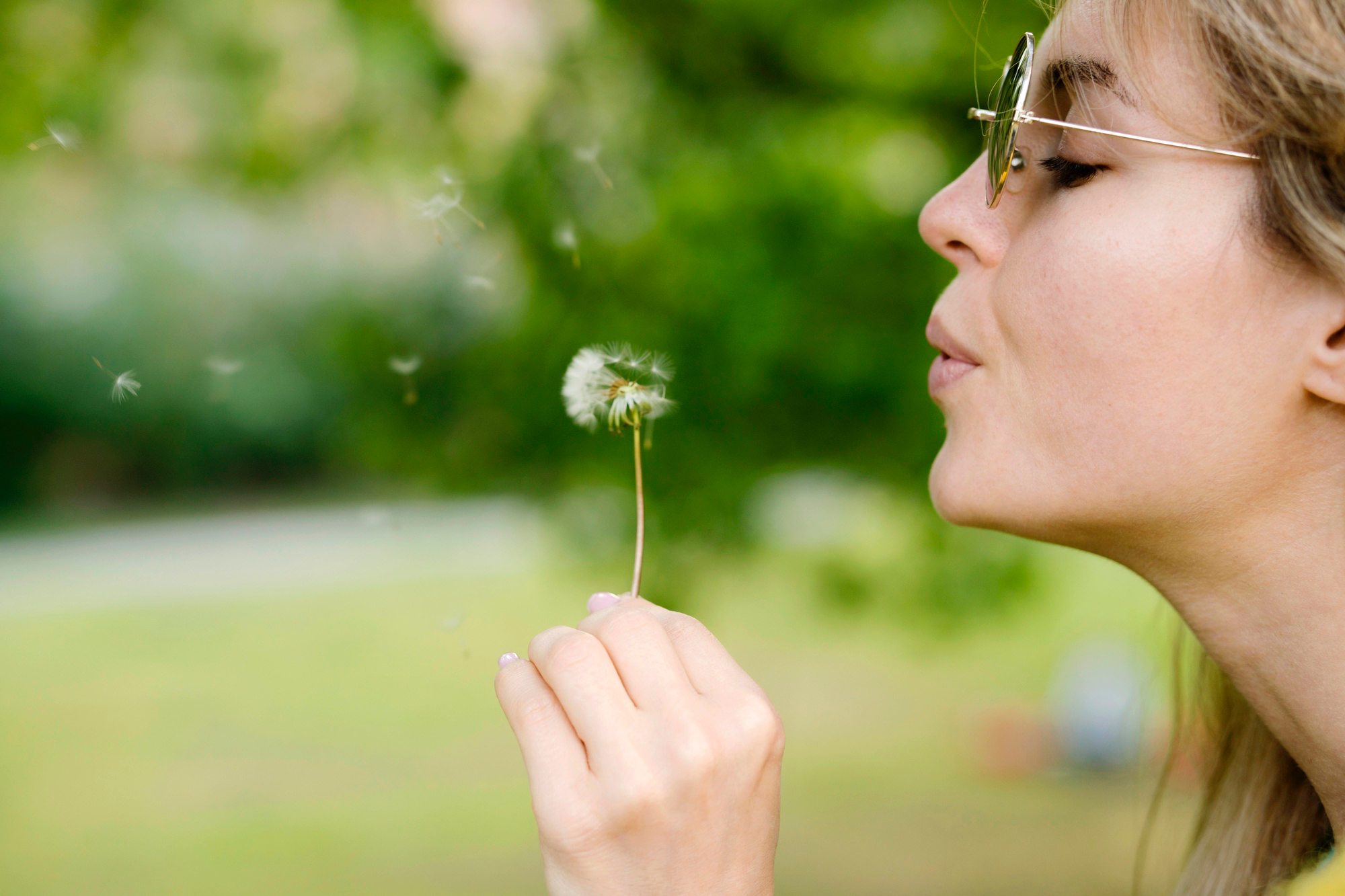 Top Tips for an Allergy-Free Home This Spring in Toronto